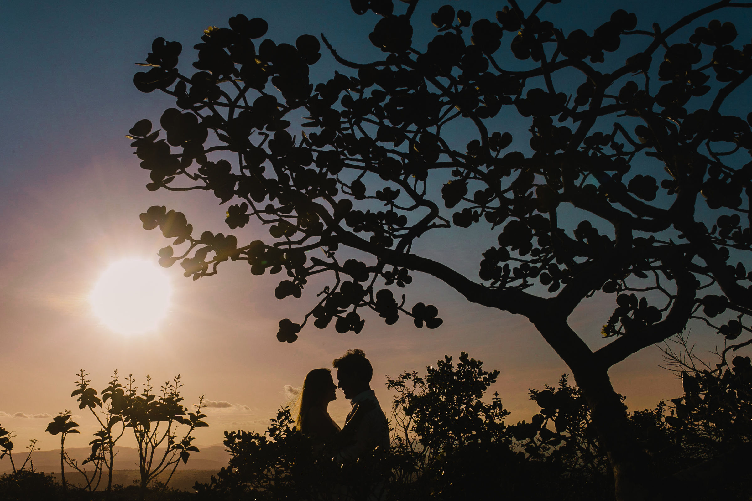 Foto Ensaio de Luciana e felipe - Imagem 13