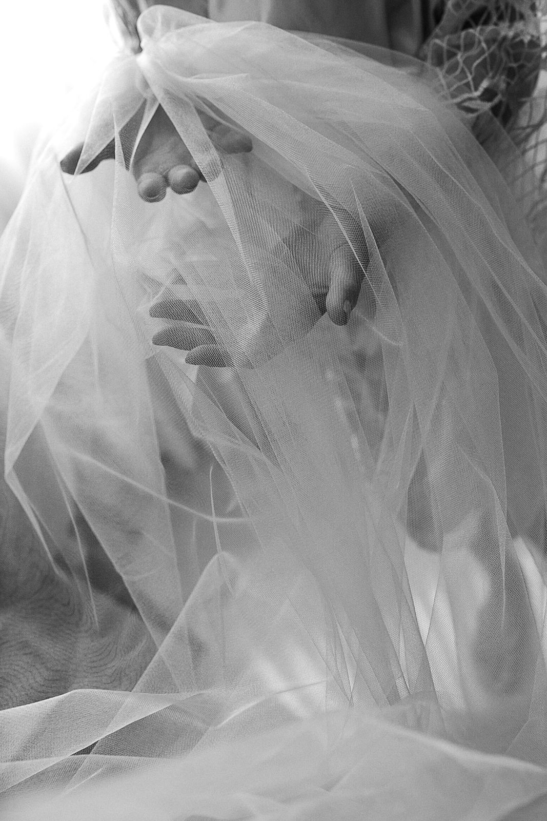 Foto Casamento de Leticia e Igor - Imagem 2