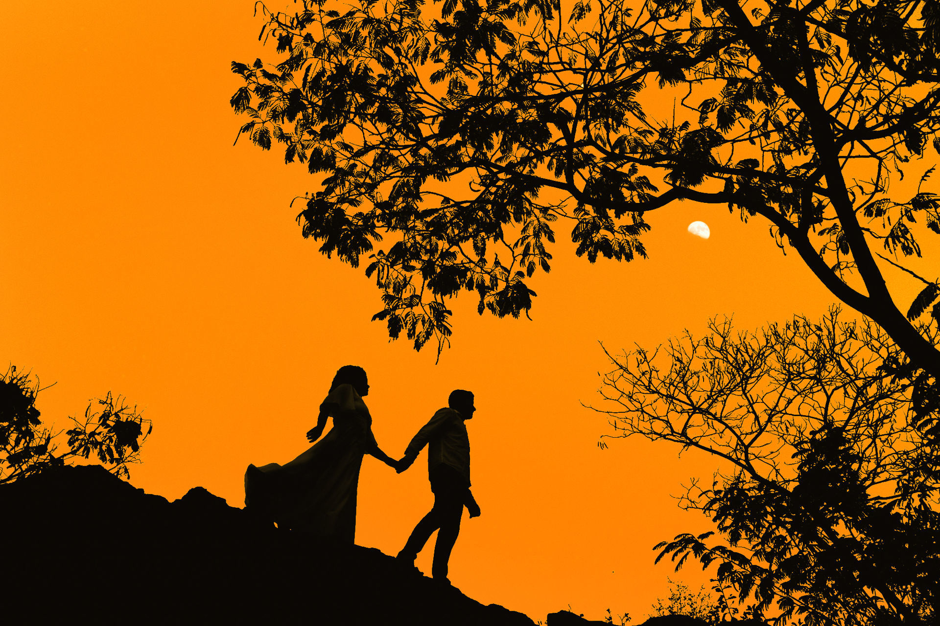 Foto Ensaio de Sara e Sidney - Imagem 9